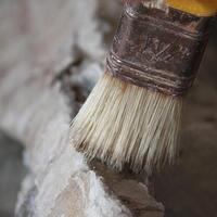 Kanada’da 23 milyon yıllık fosil bulundu!