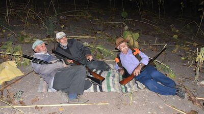 Köyün ihtiyar delikanlıları domuz nöbetinde