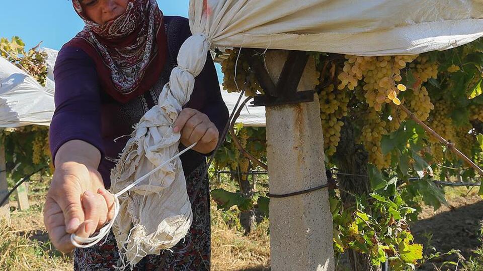 Tarım sigortası ne kadar?