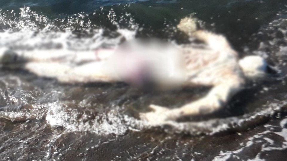 Yer: Samsun... Görenlerin kanı dondu!