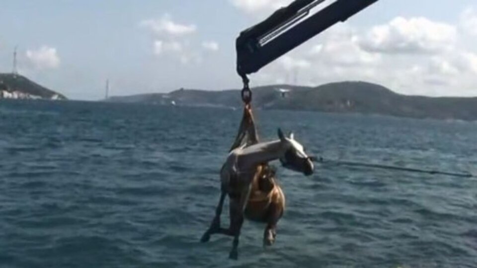 Sarıyer'de denize düşmüşlerdi! O anların görüntüleri ortaya çıktı