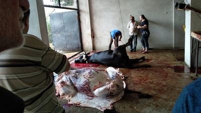 Kurban etini yediler, yara çıkınca korkunç şüpheyle tedavi altına alındılar