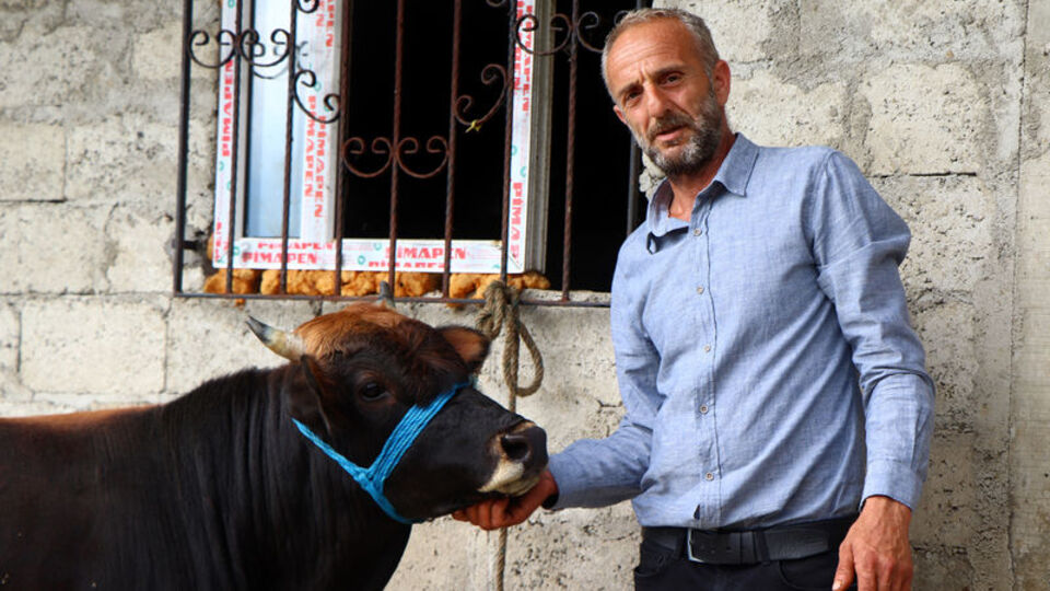 O boğanın akıbeti belli oldu! Ünlü sanatçı almak istiyor...