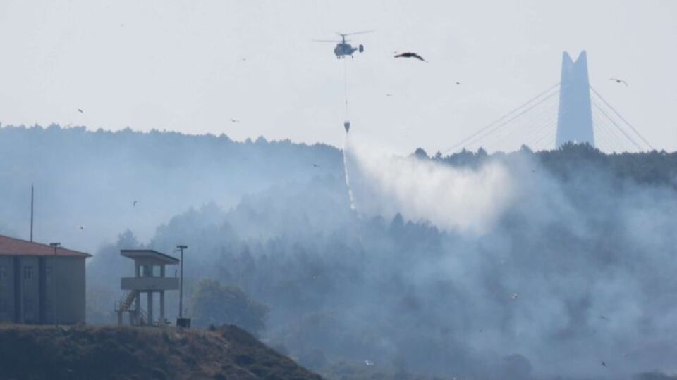 Beykoz'daki orman yangını söndürüldü