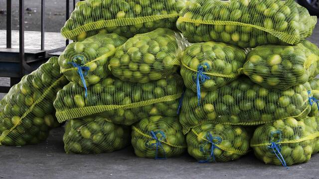 Limon fiyatına 'turfanda' ayarı