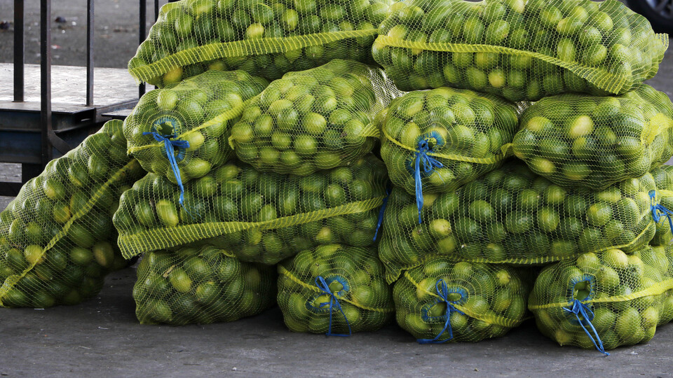 Limon fiyatına 'turfanda' ayarı