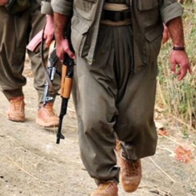 Hakkari'de 2 terörist yakalandı