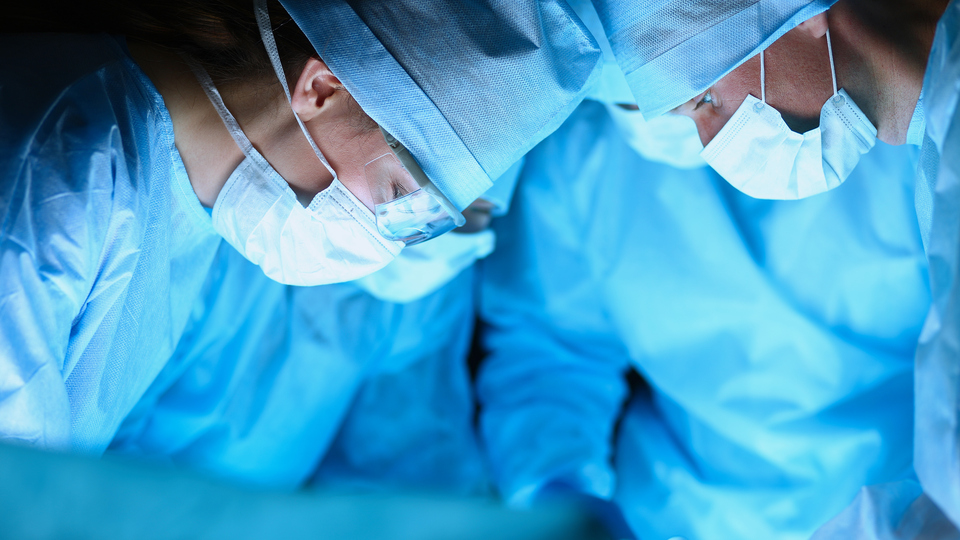 Hükümet'ten müjde! Artık ücretsiz...