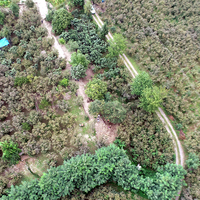 Fındık bahçesinden "tarih" çıktı