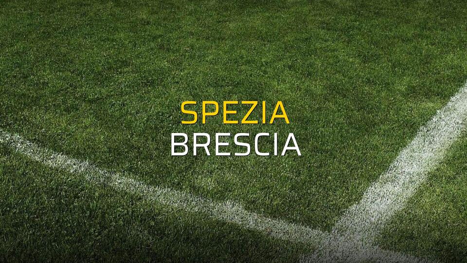 Spezia - Brescia maçı istatistikleri