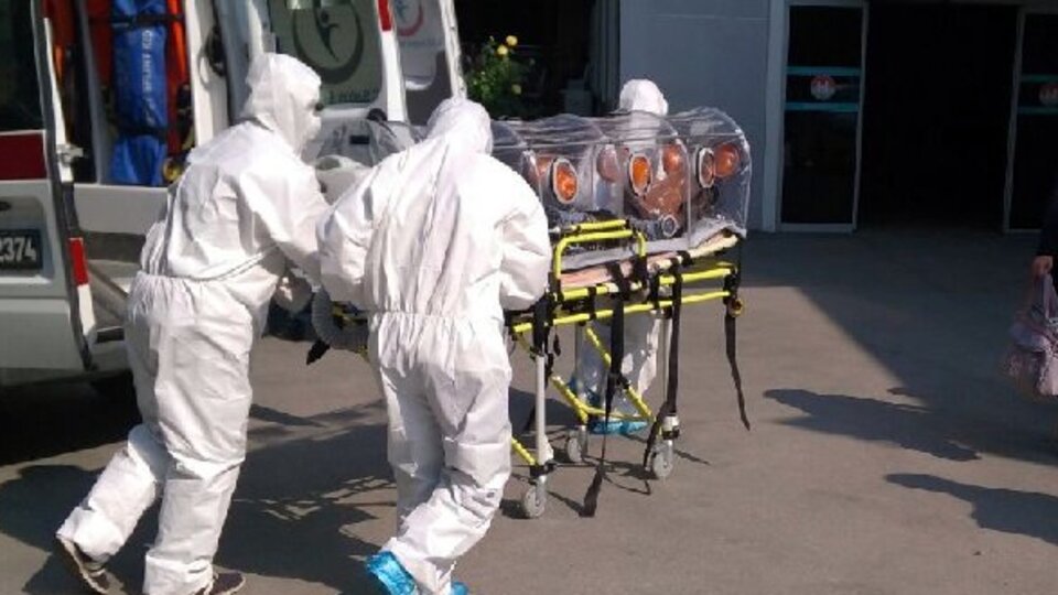 Şarbon nedir, nasıl bulaşır?