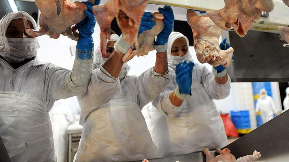 Dev tesis ipotek karşılığı bankaya satıldı