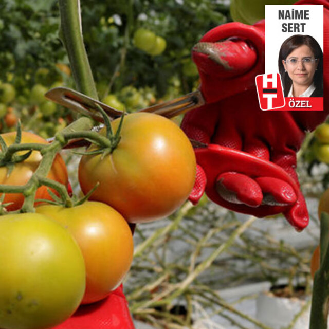 İşte böyle şampiyon oldu!