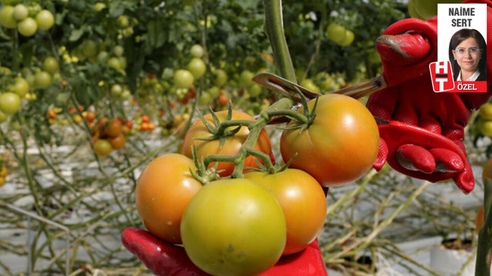 İşte böyle şampiyon oldu!