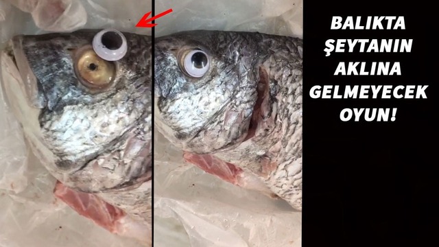 Balıkçı tezgahında inanılmaz oyun!