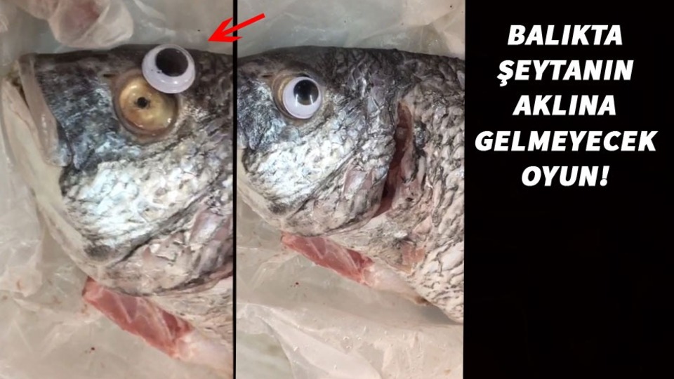 Balıkçı tezgahında inanılmaz oyun!