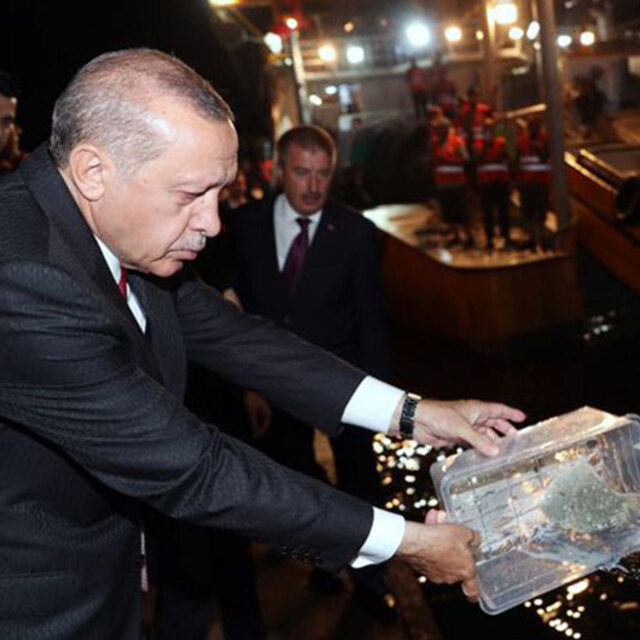 Cumhurbaşkanı gece yarısı Sarıyer'e neden gitti?