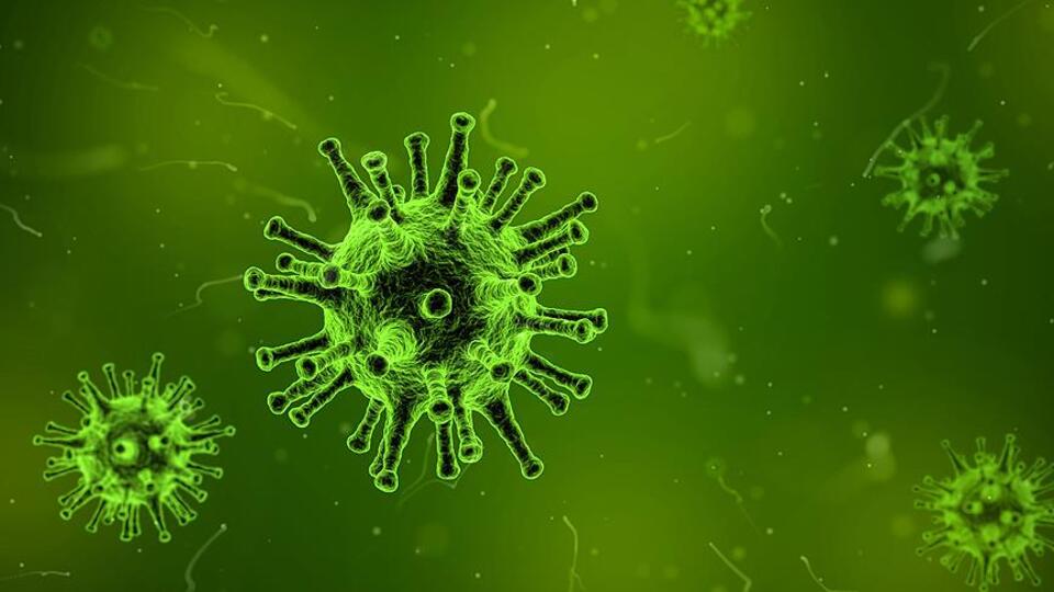 Bakteriyle savaşan yapay hücreler üretildi