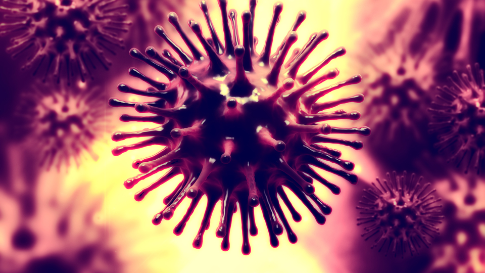 Dünyayı tehdit eden süper bakteri!