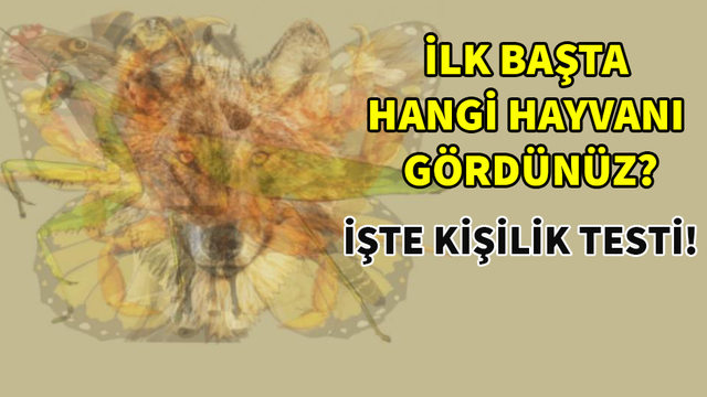İlk bakışta ne gördünüz? İşte kişilik testi!