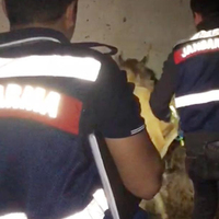 Ordu'da şüpheli cinayetlerde seri katil şüphesi!