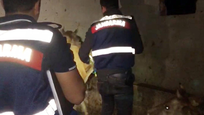 Ordu'da şüpheli cinayetlerde seri katil şüphesi!