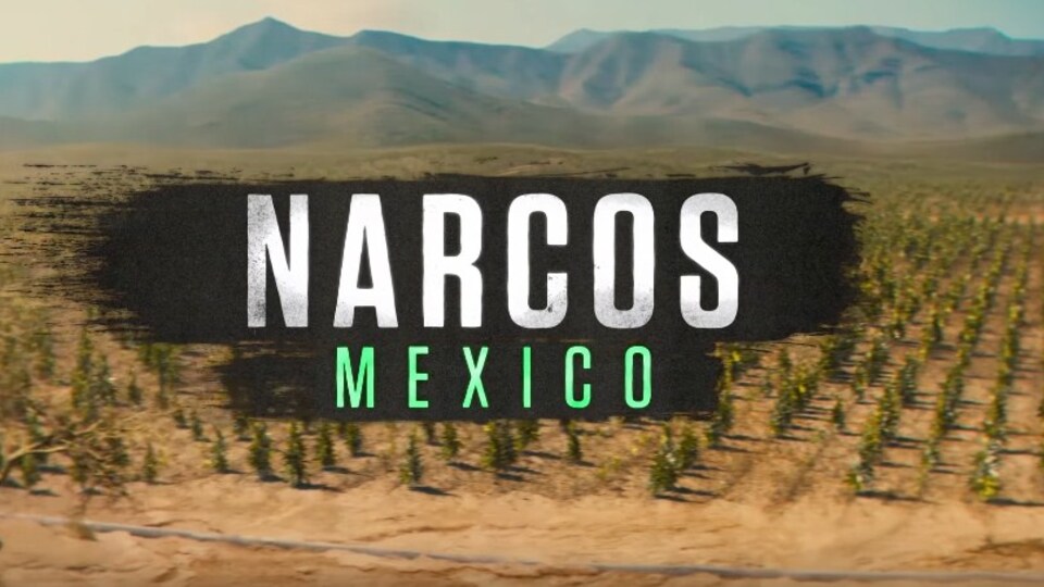 Narcos 4. sezon ne zaman?