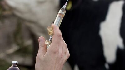 "Şarbon insandan insana bulaşmaz"