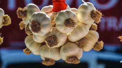 Sarımsağın faydaları ve zararları