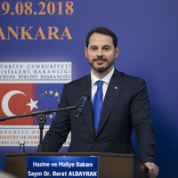 Bakan Albayrak'tan büyüme değerlendirmesi