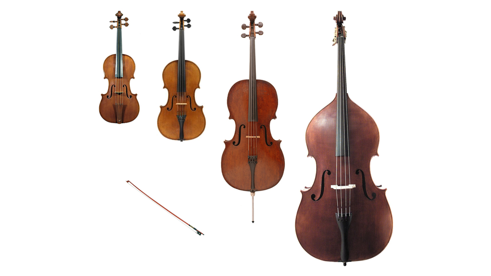 En kalın sesli keman türü hangisidir?