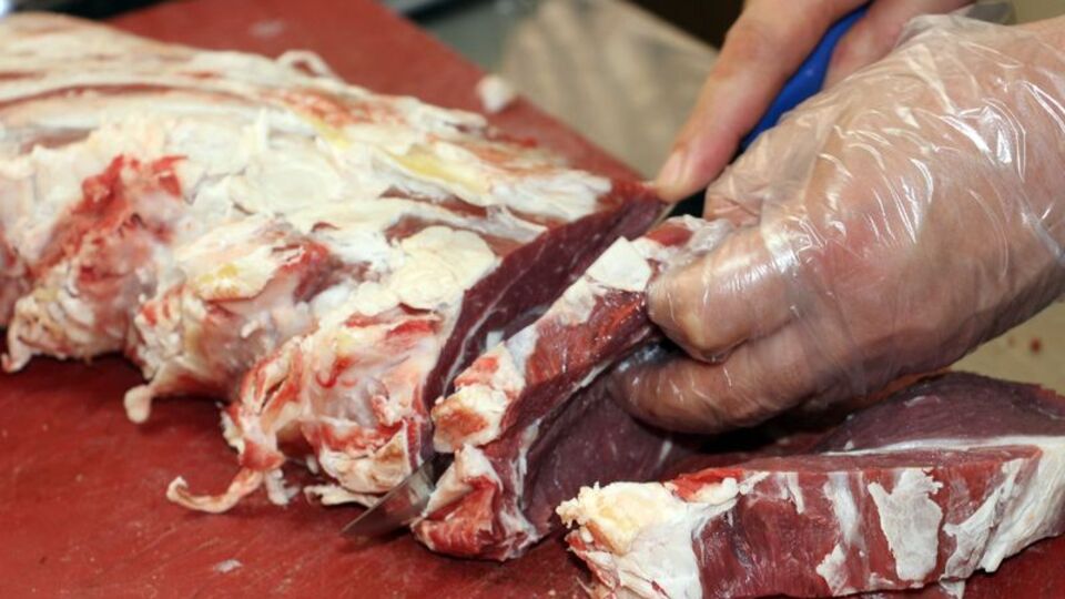 Sakarya'da şarbon şüphesi