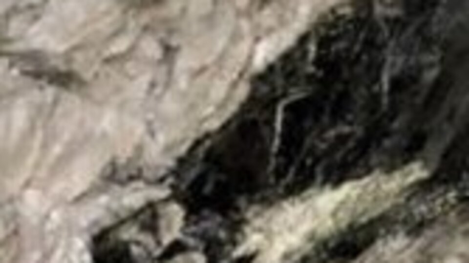 Altınla kaplı! Değeri dudak uçuklattı