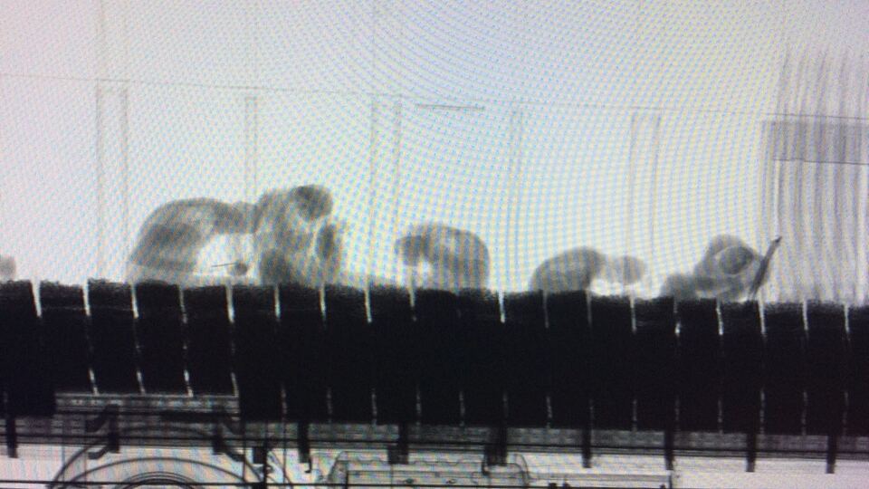 X-Ray'de fark edildiler! Alüminyum folyoya sarılı...