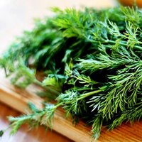 Dereotunun faydaları