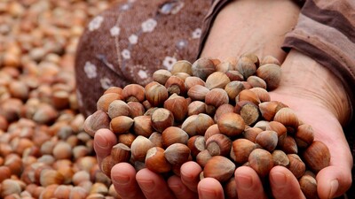 Fındık ihracatından 10 yılda 20 milyar dolar