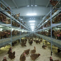 Gıda devinin konkordato sürecinde yeni gelişme