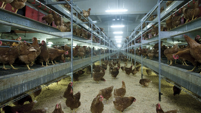 Gıda devinin konkordato sürecinde yeni gelişme