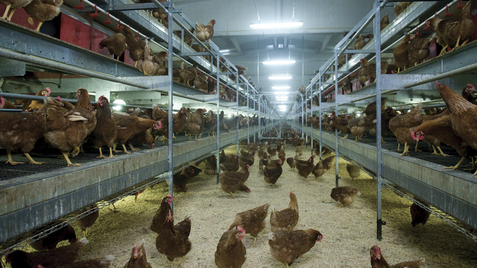 Gıda devinin konkordato sürecinde yeni gelişme