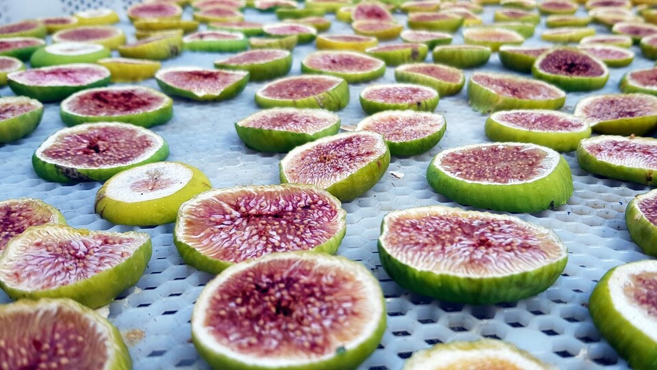 Yeğenleri için üretti, şimdi dünyaya satıyor