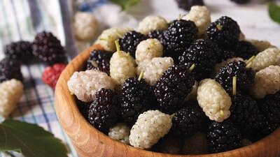 Beyaz ve siyah ve dutun faydaları