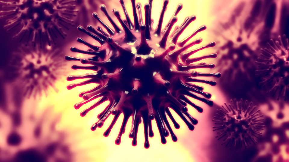 Yeni virüs alarmı!