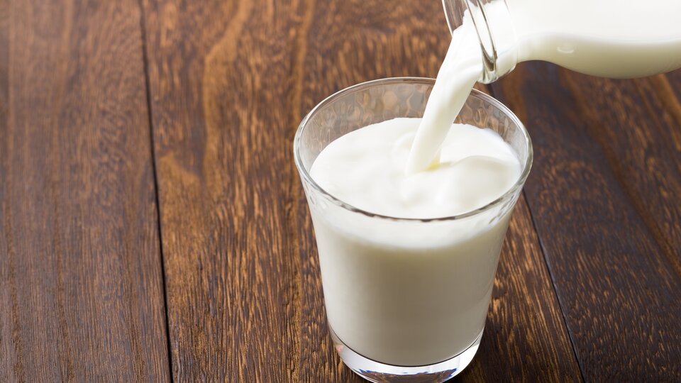 Sütten şarbon bulaşır mı?