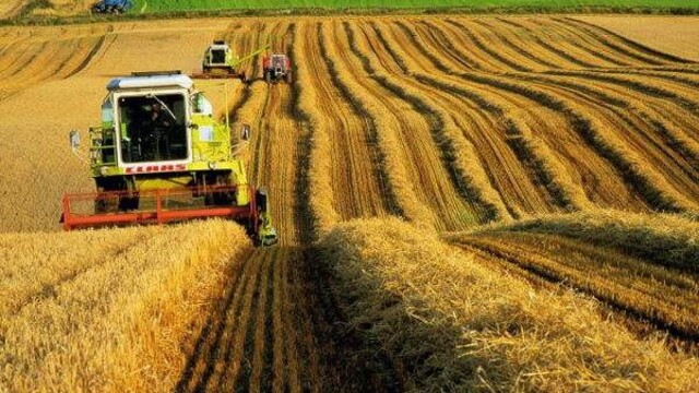 Tarım ÜFE ağustosta arttı