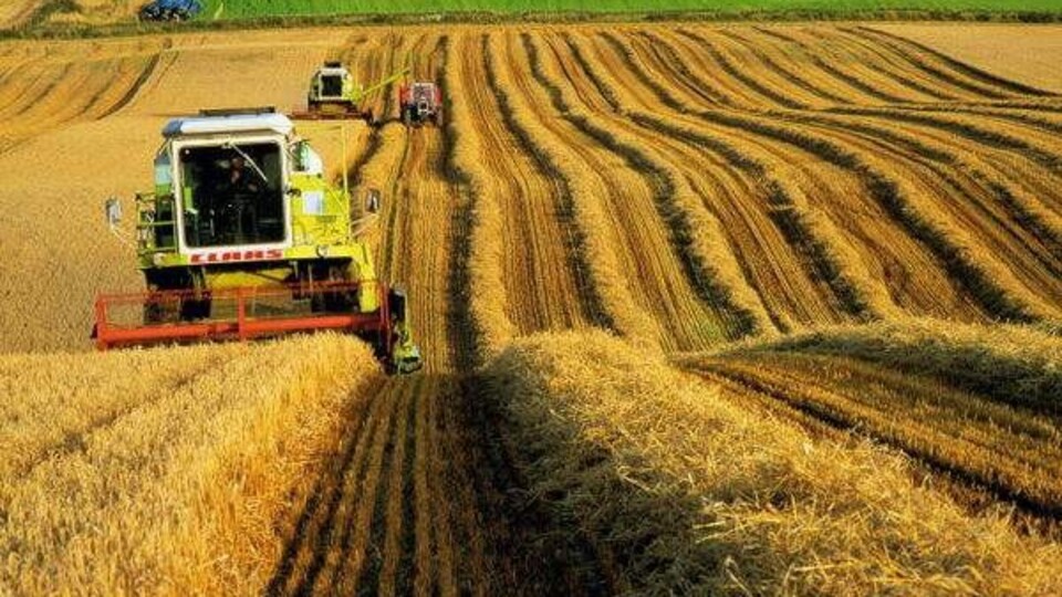 Tarım ÜFE ağustosta arttı