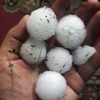 Sadece 20 dakika sürdü!