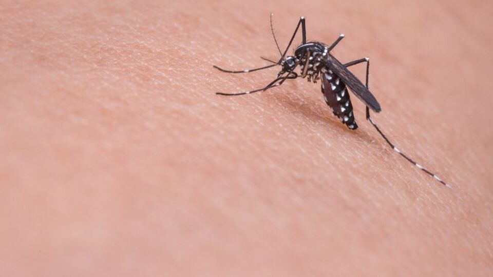 2 haftada 5 kişiyi öldürdü! Tehlike giderek yayılıyor...