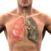 Sigarayı kaç yaşında bırakırsanız ne kadar yaşarsınız?