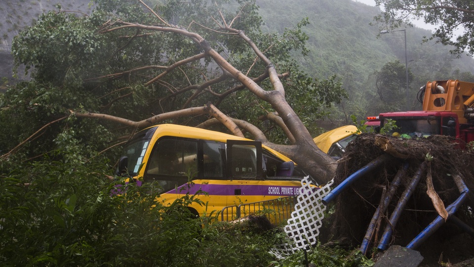 Mangkut Tayfunu maden faciasına yol açtı! Onlarca ölü var...