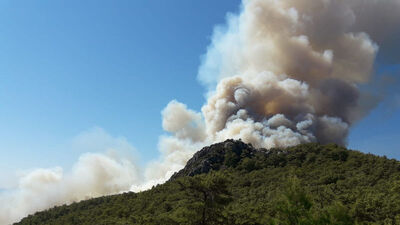 Bakan Pakdemirli'den orman yangını ile ilgili flaş açıklama
